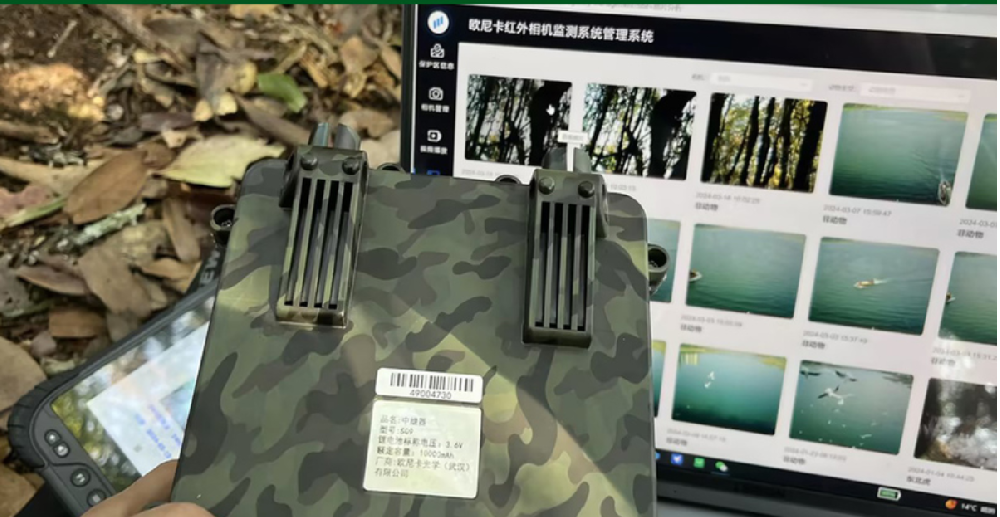 映界红外相机云平台系统+自组网